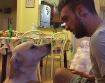 Quiso retar a su perro