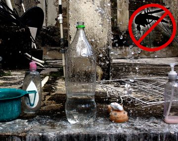 Mitos y verdades del dengue