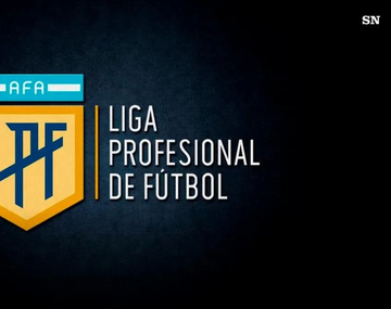 Avanza proyecto para suspender los descensos: ¿habrá torneo de 30 equipos?