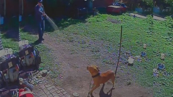 Un policía le tira gas pimienta a un perro que estaba encadenado: mirá el video