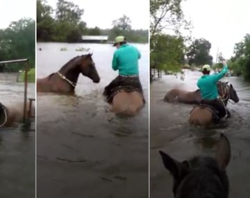 Mirá cómo un cowboy rescató a un caballo afectado por el huracán 