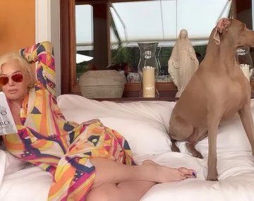 El dolor de Susana Giménez: murió su perra Thelma