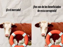 Explicado con vacas: el espectacular video viral que grafica a los seguidores de Milei