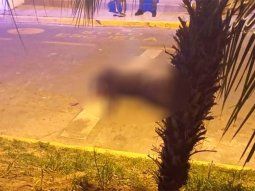 Un empleado judicial se defendió en una entradera y mató a un ladrón