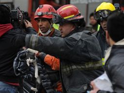 encontraron un gato sano y salvo abajo de los escombros encontraron un gato sano y salvo abajo de los escombros