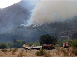 Gentileza Patagónico Gentileza Patagónico