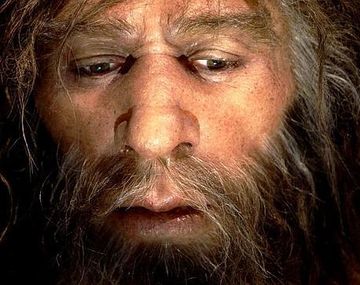 Cómo la evolución eliminó genes neandertales