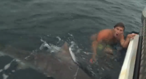 VIDEO: Se salva de un tiburón por los pelos