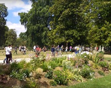 Corridas por la aparición de un pokémon