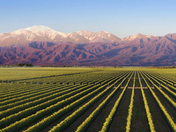 El pueblo con arte local, bodegas y mucha naturaleza