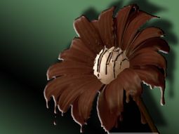 Flor de chocolate