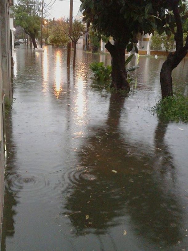 Mirá las imágenes y los videos del fuerte temporal que azotó a la provincia de Buenos Aires