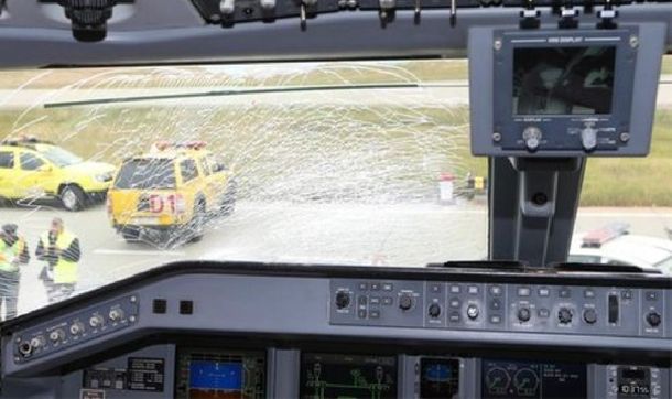 Así quedó la cabina del avión tras chocar con el ave
