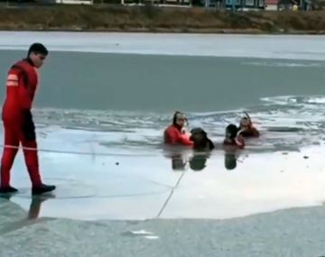 Rescatan perros que cayeron en aguas  heladas