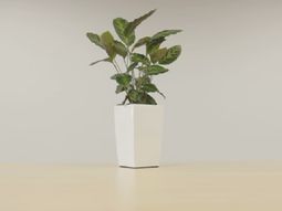 cultivan planta que puede cargar los celulares cultivan planta que puede cargar los celulares