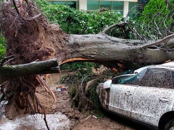Un tornado sacudió Pinamar, dejó grandes destrozos y a media ciudad sin luz