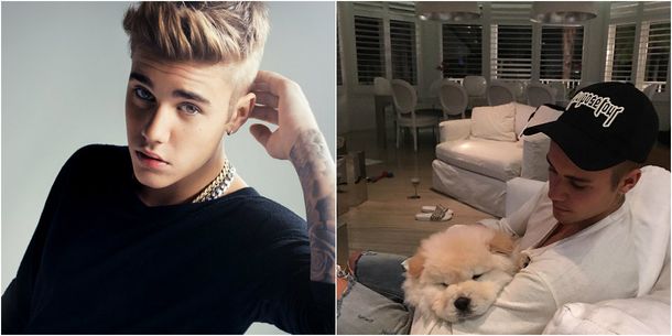 Justin Bieber abandonó a su último perro
