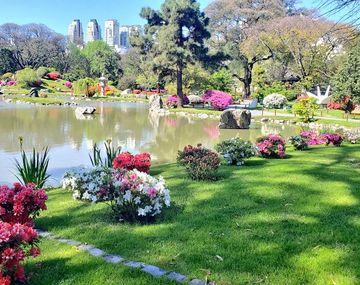 Con protocolos sanitarios