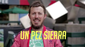 lanzan biblia de los insultos en espanol lanzan biblia de los insultos en espanol