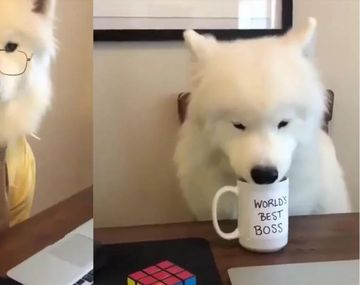 Si no te gusta te despido: su jefe le mandó un video