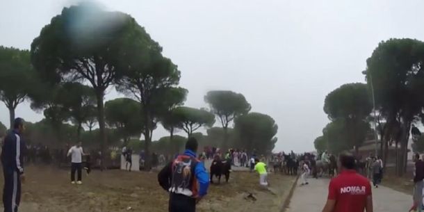 VIDEO: así mataron a un toro en España