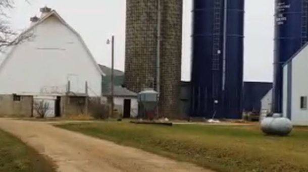 Robaron de una granja una carga de semen de toro valuada en 70 mil dólares