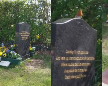 El pajarito se posó en su mano luego de estar en la tumba de su hijo
