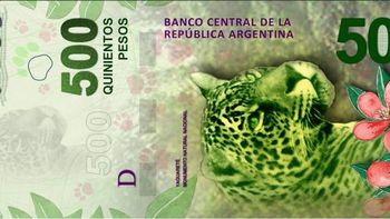 una ong celebra el nuevo billete, pero pide medidas para proteger al yaguarete una ong celebra el nuevo billete, pero pide medidas para proteger al yaguarete