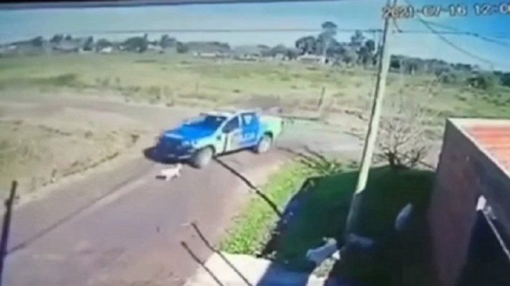 Un video muestra a policías que atropellan y matan a un perrito con el patrullero