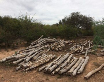 La comunidad Wichi denunció amenazas ante su intento por frenar el desmonte en Tartagal