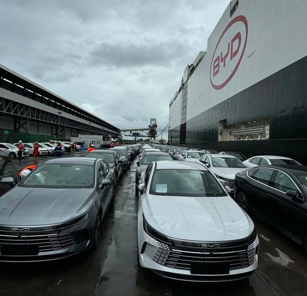 Video: así bajaban en Zárate los 7.000 autos electrificados enviados desde China