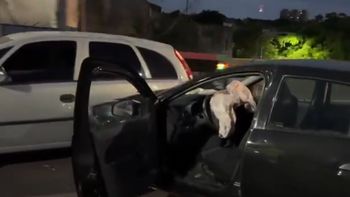 caos en la autopista 25 de mayo por un choque multiple: hay al menos cuatro heridos caos en la autopista 25 de mayo por un choque multiple: hay al menos cuatro heridos