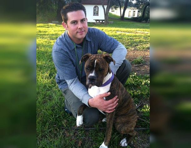 Perra despide a su amo