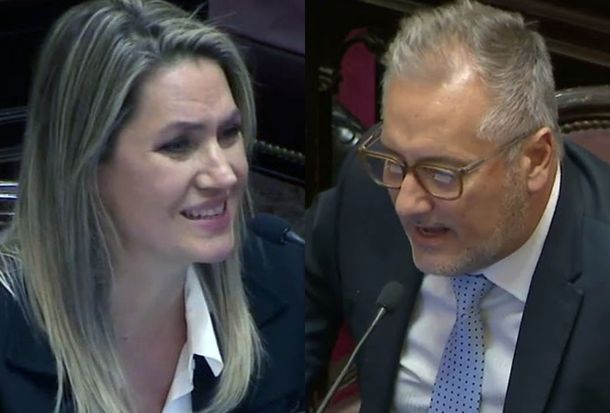 Fuerte cruce de chicanas entre senadores santafesinos por la violencia narco en Rosario