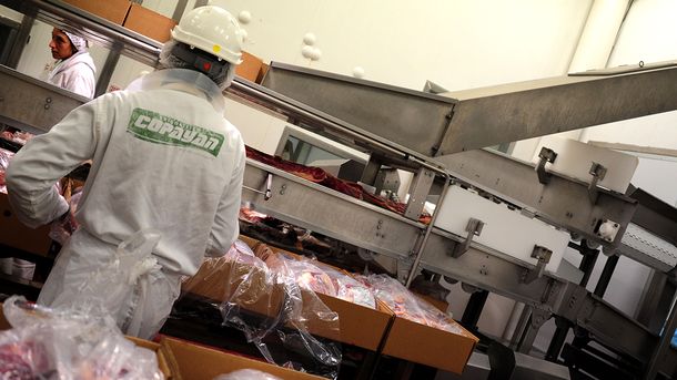 Varios frigoríficos uruguayos quedaron habilitados para exportar estómagos bovinos a China.