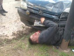 Gentileza InfoZC Gentileza InfoZC