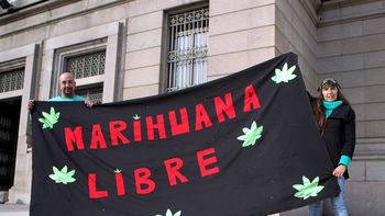 falta determinar si argentinos podran comprar marihuana falta determinar si argentinos podran comprar marihuana