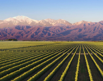 El pueblo con arte local, bodegas y mucha naturaleza