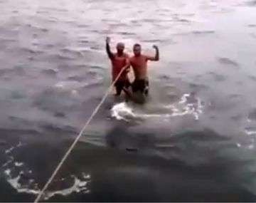 Usaron un tiburón como tabla de surf