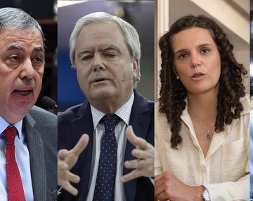 Comunicado de organizaciones sociales: La muerte de Elizabeth es 5 días después del rechazo en el Senado