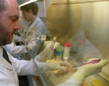 Científicos argentinos logran modificar células en el para combatir la diabetes