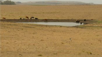 Con la sequía extrema en Uruguay, Montevideo todavía tiene reservas de agua potable para marzo y abril. Con la sequía extrema en Uruguay, Montevideo todavía tiene reservas de agua potable para marzo y abril.