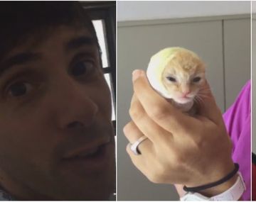 Video: así se recupera la gatita que rescató Robertito