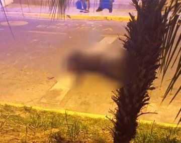 Un empleado judicial se defendió en una entradera y mató a un ladrón