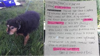 La abandonaron con un carta: No necesito un perro La abandonaron con un carta: No necesito un perro