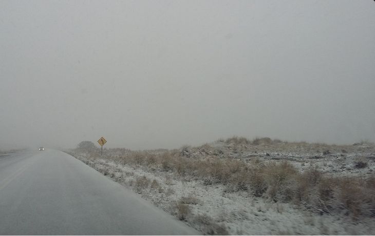 Gentileza: Twitter @luciasanluis