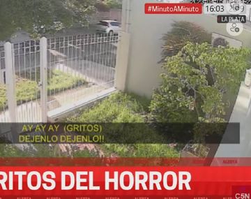 Una mujer fue sorprendida por delincuentes en la puerta de su casa: Mis gritos me salvaron