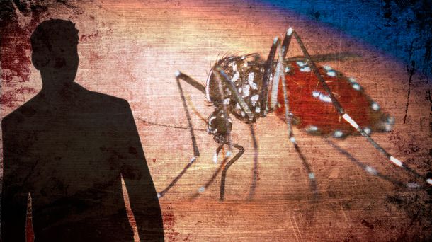 Reportaron el primer casi de dengue en La Pampa