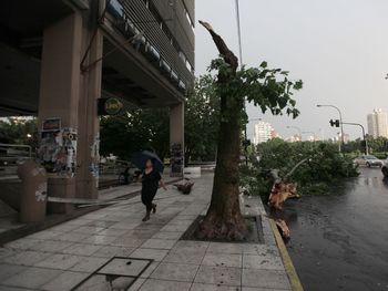 A más de un día del temporal, parte del conurbano sigue sin luz