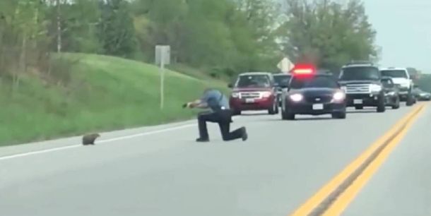 El policía le disparó dos veces a la marmota